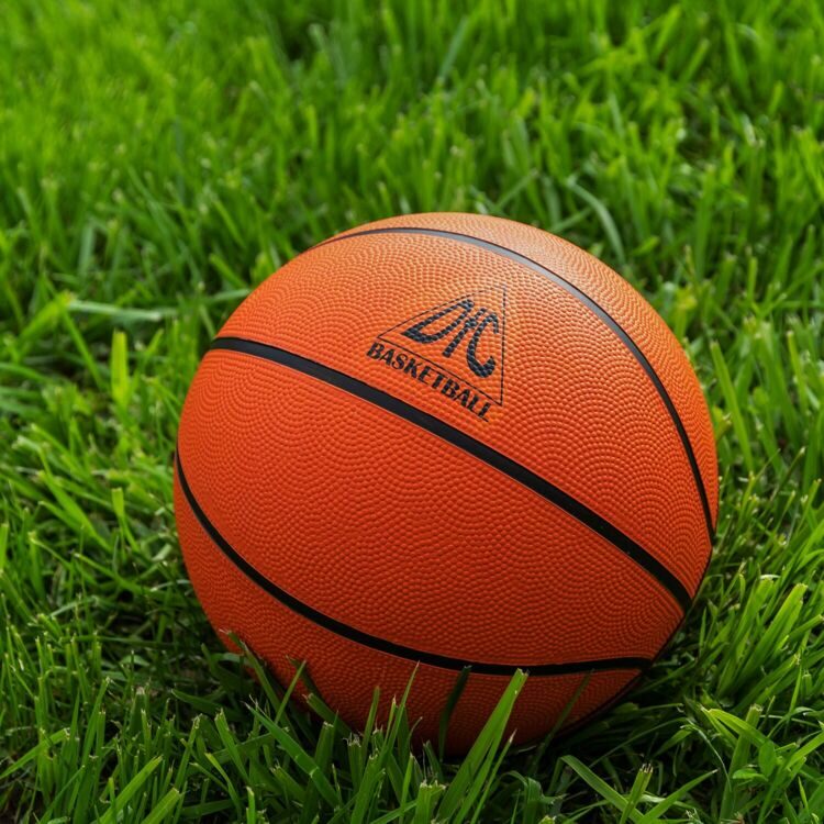 Баскетбольный мяч DFC BALL5R 5&quot; резина